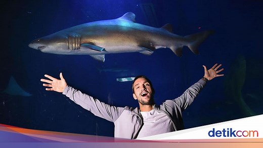 Yang Membedakan Manusia dengan Hewan Tak Hanya Kecerdasan