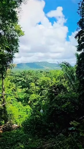 💥 Get ready to ZIPLINE at Bocawina! 🌿✨ Fly through the jungle, feel the rush, and soak in epic rainforest views — your Belize adventure starts right here! 💚 #BocawinaRainforestResort #BelizeAdventure #ZiplineBelize #JungleThrills . . Video by Leonardo @leonardodecapro | Bocawina Rainforest Resort & Adventures