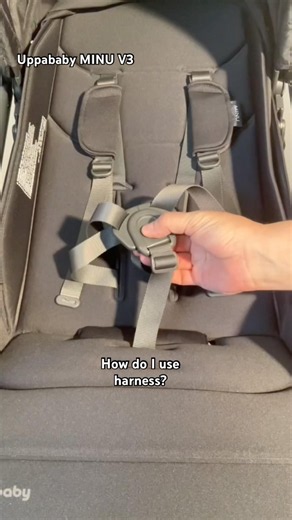 Uppababy Minu V3: Using the Harness