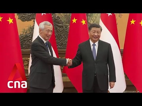 Singapore PM Lee Hsien Loong meets Chinese President Xi Jinping in Beijing