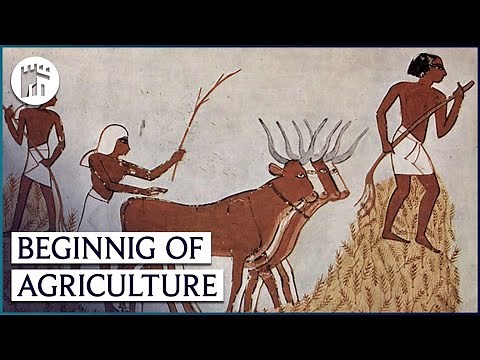 How Farming Became The Real Foundation Of Civilization