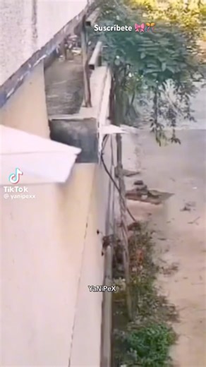 THE NEIGHBOR ON THE BALCONY