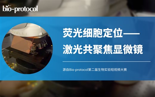 【Bio-protocol】荧光细胞定位(细菌)—激光共聚焦显微镜