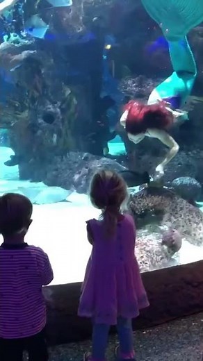 Ariel the Mermaid in real life!