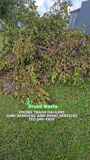 We don’t typically pick up green waste… BUT when you need it gone, you already know — we’ll show up and haul it away, the Viking way! ⚔️🛻✨ This week, a customer needed a huge tree pile removed ASAP — family was coming into town and they needed the extra space for parking. So what did we do? We showed up right before Thanksgiving and cleared it out so they could enjoy the holiday without the mess. 🙌🍂 Whether it’s branches, yard debris, storm cleanup, or a one-time job you need off your list, w