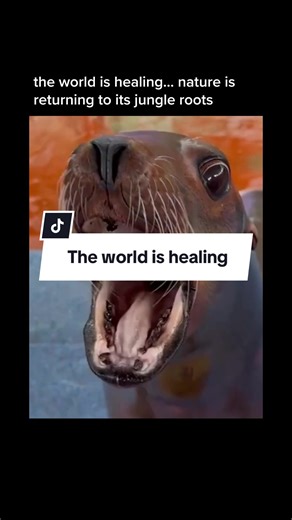 the world is healing #ukf #ukfdnb #drumandbass