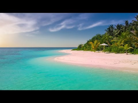 Royalty Free Music - Tropical Calypso Island