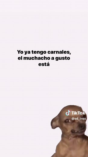 ¿Qué significa 'Whole Lotta Clika Shit'?