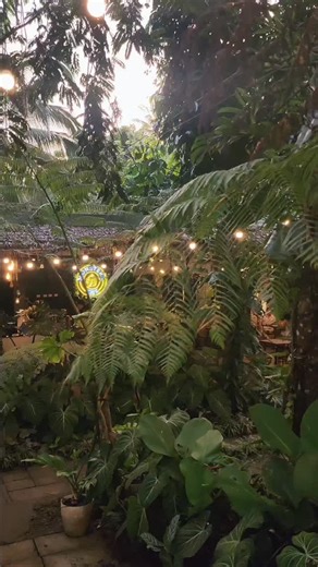 POV: You found a hidden rainforest café… and it feels like magic. ✨🌿 Good food. Great coffee. A perfect pause from everything outside. 📞 For reservations: (046) 413 6208 | 0967 458 3755 📍 Monstera Cafe PH — Silang, Cavite Come experience this hidden gem for yourself. 💚✨ #monsteracafeph #petfriendlycafe #specialtycoffeeshop #coworkingspace #bestcafe #tarasasouth #wheretodrinkcoffeeph #caviteeats #silangeats #tagaytayeats #silangtourism #cavitetourism #tarasilangtayo #hiddengem #supportlocal |
