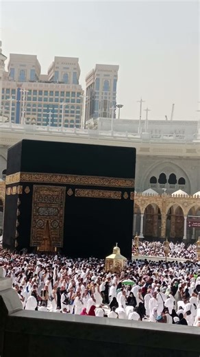 kabay ki Ronaq kabay ka manzar #tranding