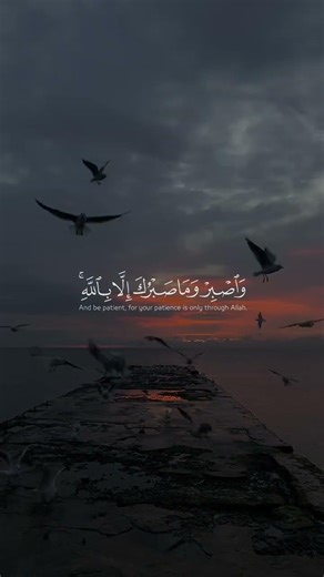 Peace in Qur'an Recitation #islamicvideo #quran #peacefulvibes