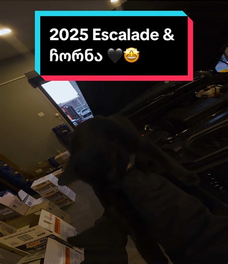 გავიცნოთ ჩორნა 😁🖤 ძრავში ზეთის შეცვლა 2025 Cadillac Escalade 6.2 V8, Engine Oil Change POV w Amsoil Signature Series SAE 0W-20 & UFI Filter . . . #oilchange #amsoil #cadillac #escalade