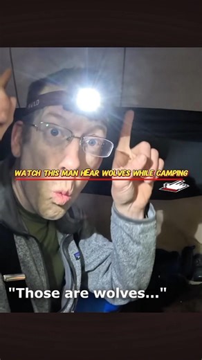 Watch Luke hear wolves laughing ! Outdoor Boys #shorts #campinginsnow #outdoorboys #wolves#wildcamp