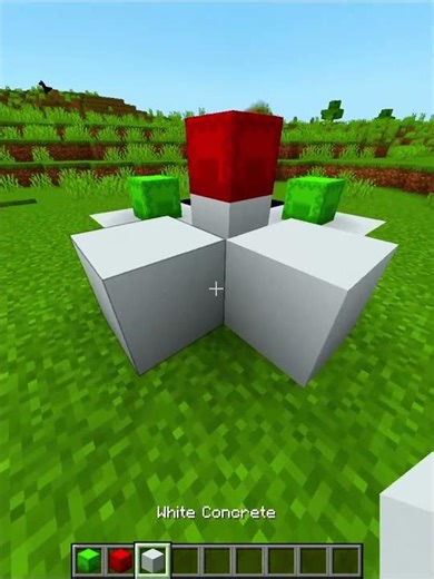 Shulker box illution 💀