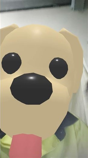 19 de noviembre de 2025