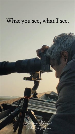 Winter bird photography at chupi bird sanctuary Purbasthali #birdphotography #wildlife #kingfisher