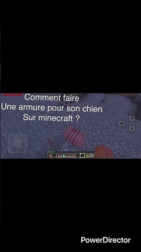 Minecraft Tuto comment fabriquer une armure pour son chien ? #minecraft #tutorial