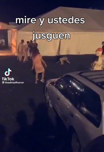 bruja