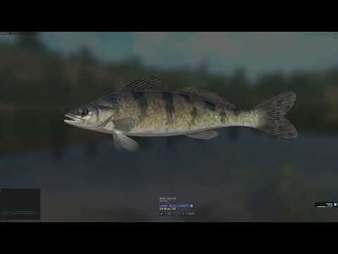 Fisher Online - How to select right length of line to STOP losing fish! Plus new app try out free!