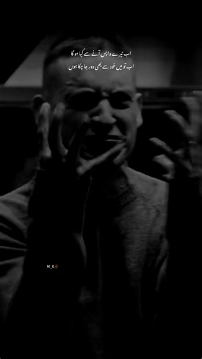 Understanding Creator Search Insights on Social Media