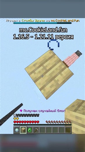 Ip: mc.CookieLand.fun Версия 1.16.5-1.21 залетай играть вместе ❤️#pillars #столбы #столбыудачи