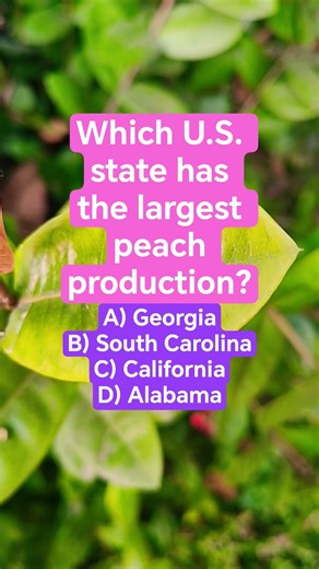Which U.S. state has the largest peach production?
