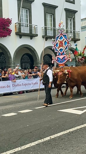 Azorean Tradition | Jose Mourato