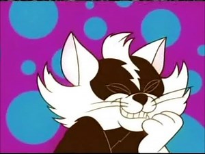 Boomerang Commercial Breaks February 2011