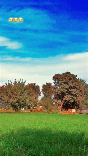 Explore My Beautiful City of Marot