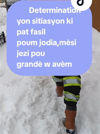 What you need to know #flypシ #snow #freezingcold | driven snow