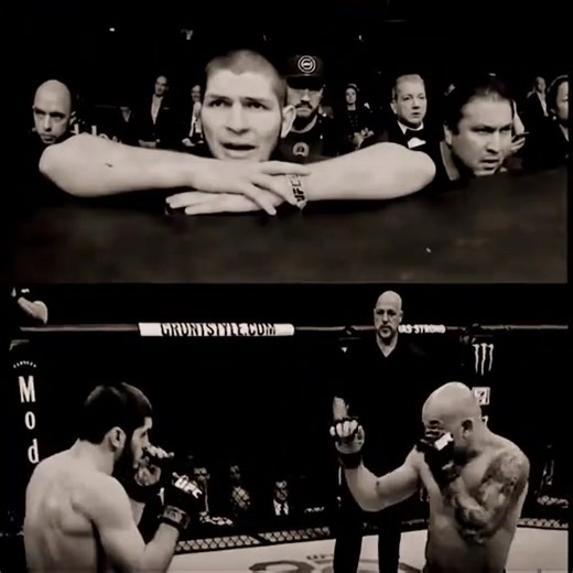 #хабиб #махачев#бокс #мма #ринг