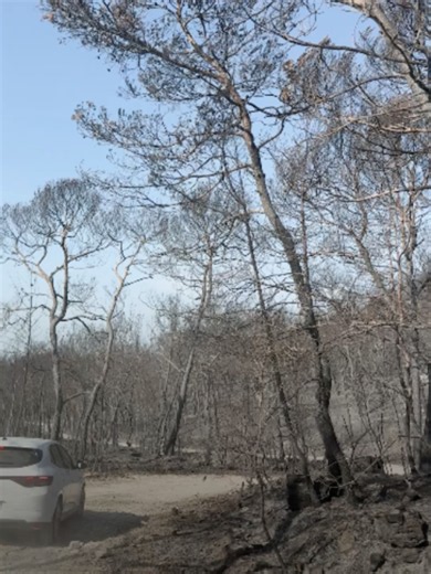 Environ 7 450 hectares ont été dévorés par les incendies depuis début juillet dans le Var. Actuellement 1500 pompiers luttent contre les feux et les reprises de ces derniers dans la région. Pour Vakita, Thomas Gourdin était sur place afin de vous montrer les conséquences de ces incendies.