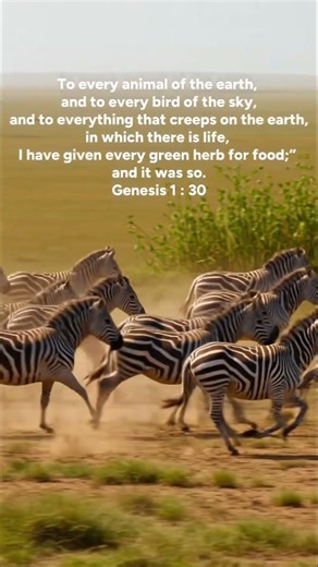 Genesis 1:28–30 — God’s First Blessing and His Plan for Life