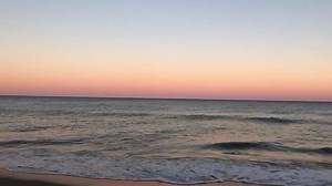 9.9K views · 664 reactions | +  =  | Visit Virginia Beach | Facebook