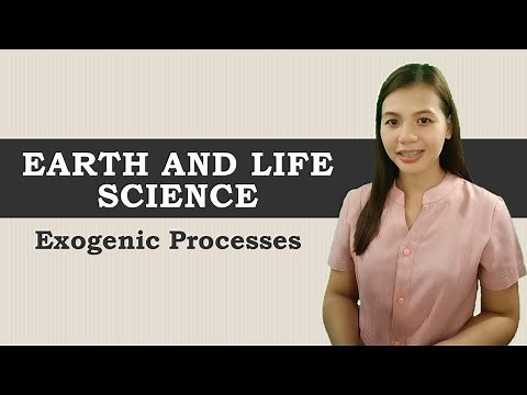 Exogenic Processes | Earth and Life Science