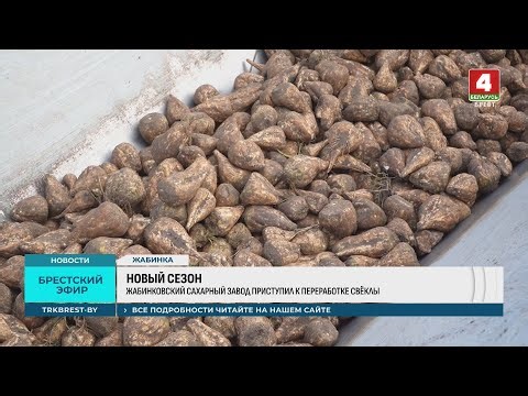 НОВЫЙ СЕЗОН