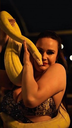 Python Dance Gone Wild! #dance #snake #bellydance