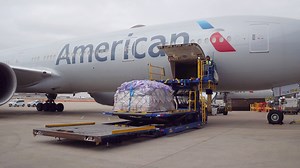 3.9K views · 162 reactions | American Airlines continues to play a key role in delivering cargo, including more than 18 operations from DFW every week. Proud to help connect the world with critical goods — including fresh produce, COVID-19 drug trials, and PPE. | DFW Airport | Facebook