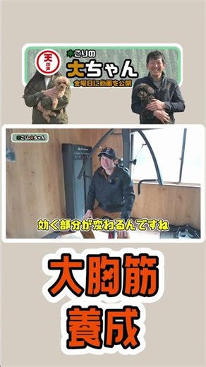 [Lumberjack] Pectoral muscle training [The reality of forestry]