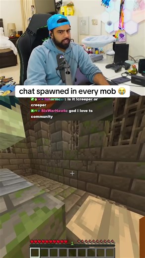 Chat spawned every mob in Minecraft 😭