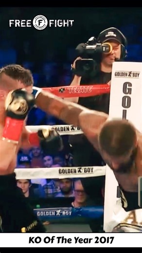 KO Of The Year 2017 #mma #ufc #boxing