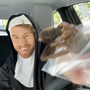 565K views · 8.3K reactions | Eating A Real Tarantula!  | Brandon Farris | Facebook