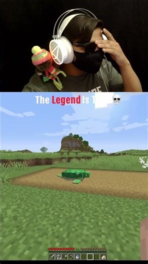 Turtle Broke The Rules 💀