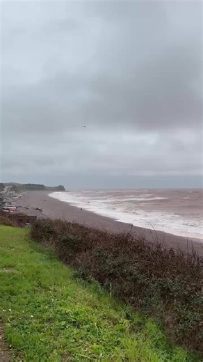 We came from Queensland to this.