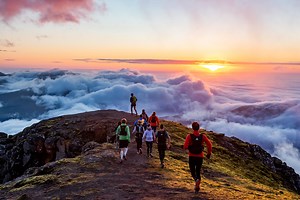 The best festivals for runners