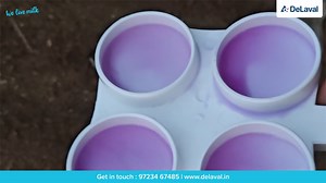 4.9K views · 67 reactions | CMT Test for Subclinical Mastitis in...