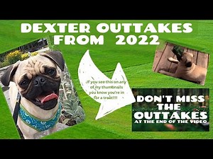 Dexter Outtakes (Blooper Reel)
