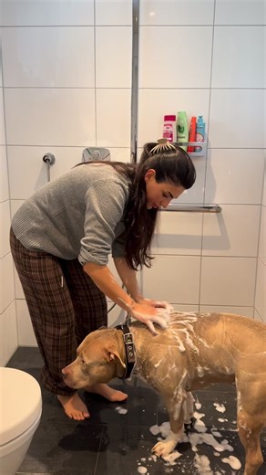 Rengin Hakiki on Instagram: "Heute gibt’s Hundecontent 😄🐶 Ich war den ganzen Tag allein mit Mecnun 🫶🏽 🏡 Harun ist mit den Kindern nach Bottrop gefahren und ich hatte heute meine kleine Me-Time einfach Ruhe, die ich gebraucht habe 🤍 Am Morgen sind Mecnun und ich erst mal eine große Runde durch den Wald gegangen. Wir wohnen direkt am Wald, also wirklich Wald vor der Tür🥹 Als wir nach Hause kamen, habe ich ihn gebadet 🧼 Mecnun hasst Duschen 😄 aber es war mal wieder nötig. Danach gab’s Futt