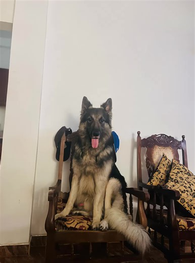 Edit nam Eddi 😂#bimsara #fyp #viral #foryoupage #terding