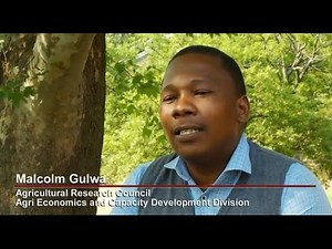 Local Economic Development Course